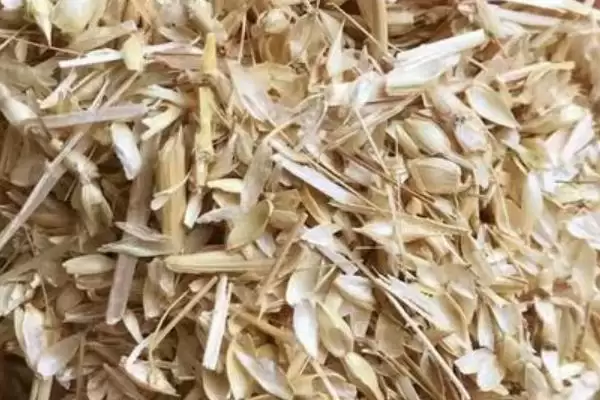 养猪没麸皮用什么代替(养猪没麸皮可用什么替代)?插图1 养猪没麸皮用什么代替(养猪没麸皮可用什么替代)?插图1