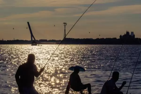 玉米钓鳊鱼是钓浮还是钓底(用玉米钓鳊鱼适合钓浮还是钓底)？插图3