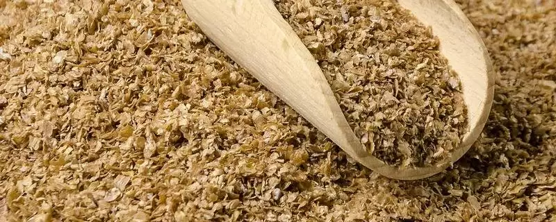 养猪没麸皮用什么代替(养猪没麸皮可用什么替代)?插图 养猪没麸皮用什么代替(养猪没麸皮可用什么替代)?插图