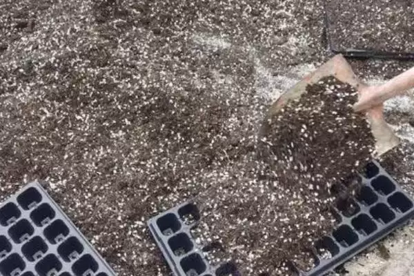 育玉米苗需哪种育苗盘(育玉米苗适合用哪种育苗盘)?插图3 育玉米苗需哪种育苗盘(育玉米苗适合用哪种育苗盘)?插图3