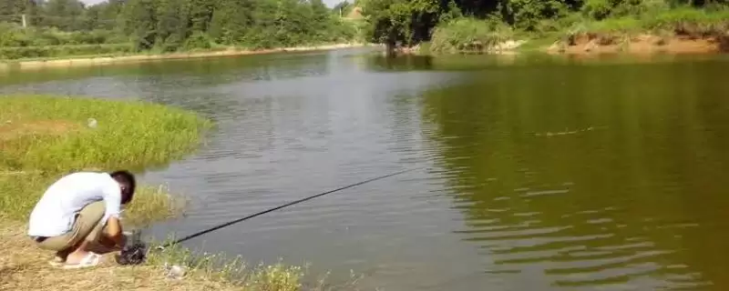 新手钓鱼要点及晴朗天气作钓要点?-会东网