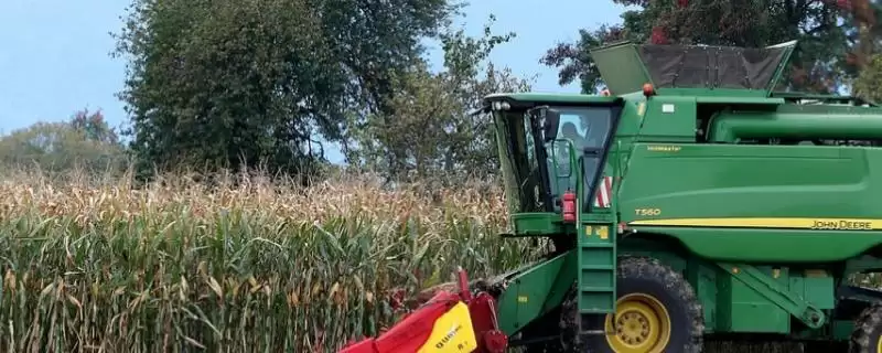 玉米联合收割台摘棒时掉粒子怎么办(玉米联合收割台摘棒掉粒子如何解决)?插图 玉米联合收割台摘棒时掉粒子怎么办(玉米联合收割台摘棒掉粒子如何解决)?插图