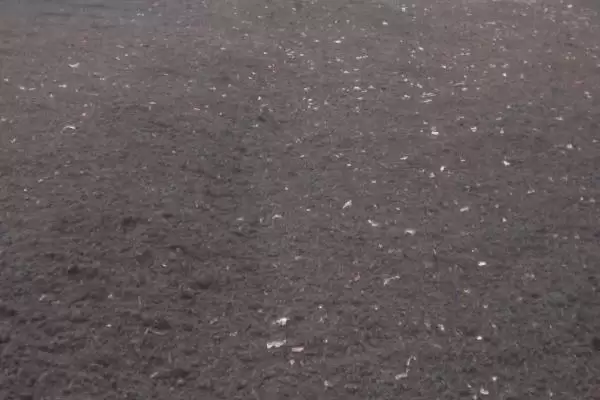 鸭粪能否直接做肥料及发酵腐熟要点?插图2 鸭粪能否直接做肥料及发酵腐熟要点?插图2