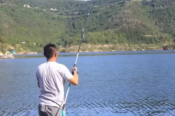 玉米钓鳊鱼是钓浮还是钓底(用玉米钓鳊鱼适合钓浮还是钓底)？插图2