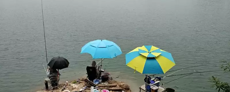 野钓小鱼闹窝如何处理(野钓小鱼闹窝怎么处理)？-会东网