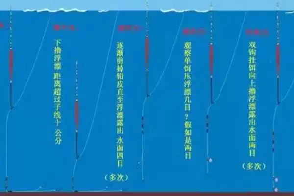 五六月份钓鱼技巧及光线选择要点？插图2