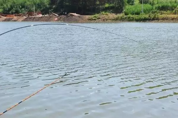 新手钓鱼要点及晴朗天气作钓要点?插图9 新手钓鱼要点及晴朗天气作钓要点?插图9