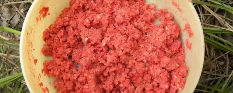 专钓草鱼的饵料配方，自制饵料可使用玉米、小米、麦麸等材料？-会东网