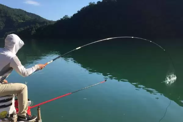 野钓小鱼闹窝如何处理(野钓小鱼闹窝怎么处理)？插图4