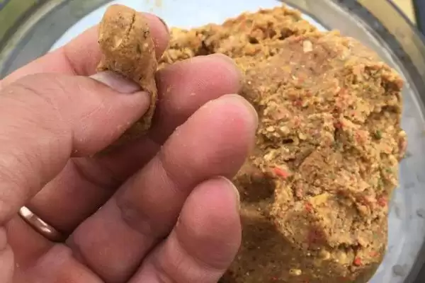 怎么钓鲮鱼(钓鲮鱼常用的方法有哪些)？插图11