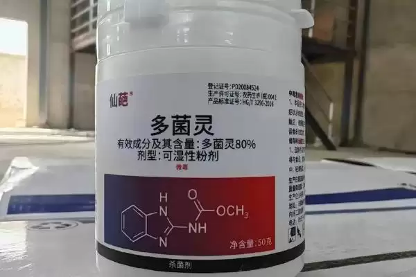 玉米病害的防治方法(玉米常见病害防治方法有哪些)？插图4