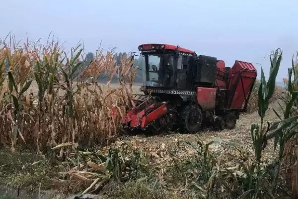 玉米联合收割台摘棒时掉粒子怎么办(玉米联合收割台摘棒掉粒子如何解决)?插图3 玉米联合收割台摘棒时掉粒子怎么办(玉米联合收割台摘棒掉粒子如何解决)?插图3