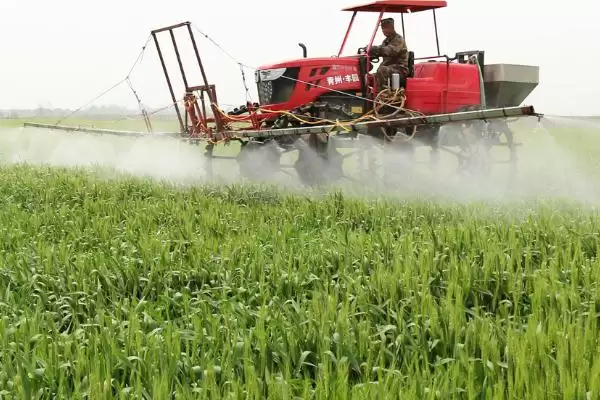 怎么防治小麦全蚀病(防治小麦全蚀病的措施有哪些)？插图1