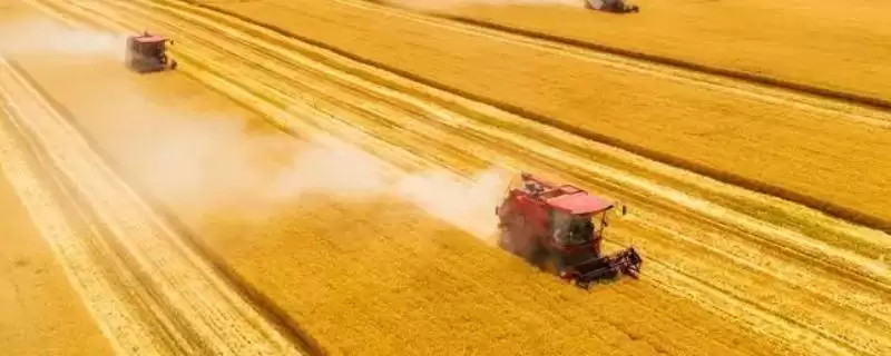 怎样选择适宜的农作物品种,根据市场需求、地理环境、生态条件选择?-会东网