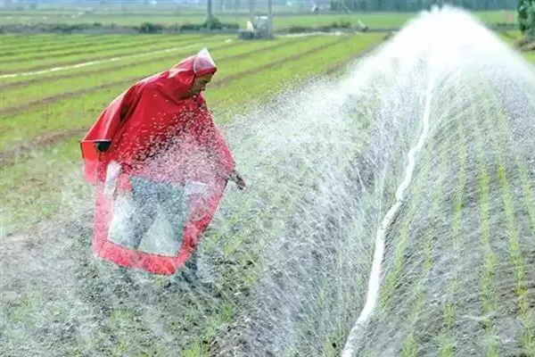 小麦后期喷微肥增产增重:锌肥等微肥要点?插图20 小麦后期喷微肥增产增重:锌肥等微肥要点?插图20