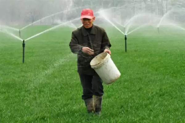 小麦后期喷微肥增产增重:锌肥等微肥要点?插图6 小麦后期喷微肥增产增重:锌肥等微肥要点?插图6