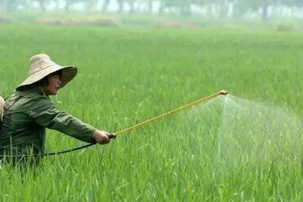 有哪些药杀梢素(常见药杀梢素有哪些)？插图1