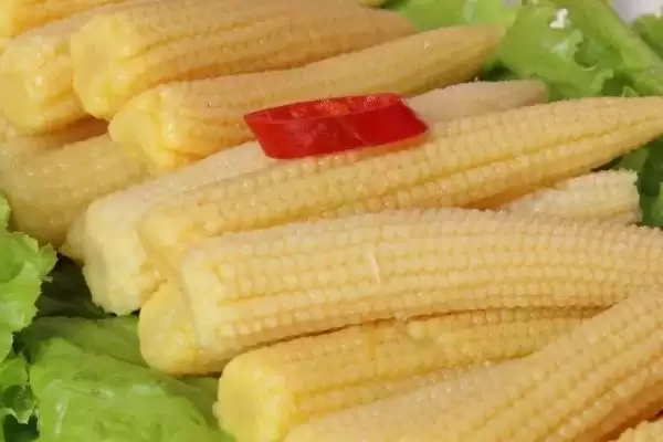 玉米笋是玉米还是笋(玉米笋到底属于玉米还是笋)？插图2