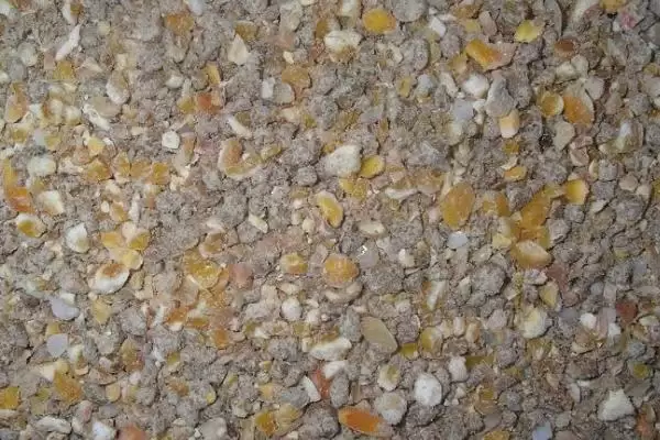 鱼内脏怎么处理成鸡饲料(鱼内脏如何处理成鸡饲料)?插图2 鱼内脏怎么处理成鸡饲料(鱼内脏如何处理成鸡饲料)?插图2