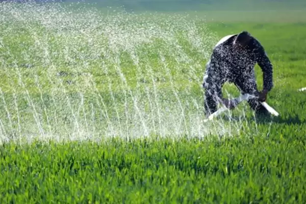 小麦后期喷微肥增产增重:锌肥等微肥要点?插图18 小麦后期喷微肥增产增重:锌肥等微肥要点?插图18