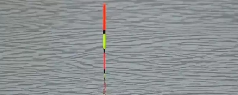 野钓鲤鱼怎么调漂(野钓鲤鱼调漂方法有哪些)?-会东网