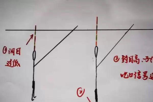 野钓鲤鱼怎么调漂(野钓鲤鱼调漂方法有哪些)?插图1 野钓鲤鱼怎么调漂(野钓鲤鱼调漂方法有哪些)?插图1