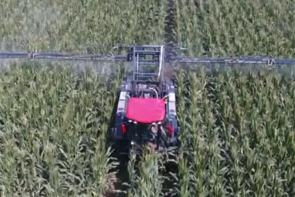 玉米除草剂一般什么时候打(玉米除草剂最佳使用时间是什么时候)?插图2 玉米除草剂一般什么时候打(玉米除草剂最佳使用时间是什么时候)?插图2