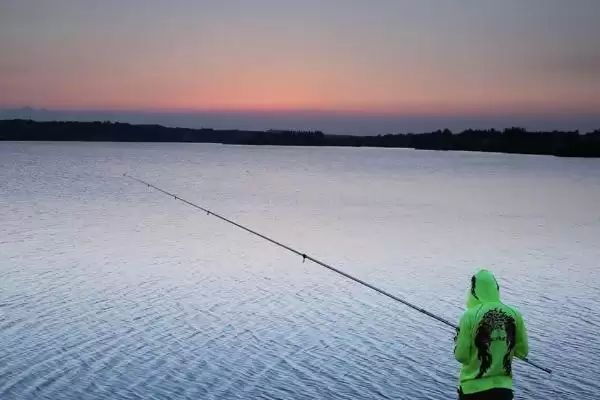 夏季能否钓大板鲫及相关钓鱼要点?插图1 夏季能否钓大板鲫及相关钓鱼要点?插图1