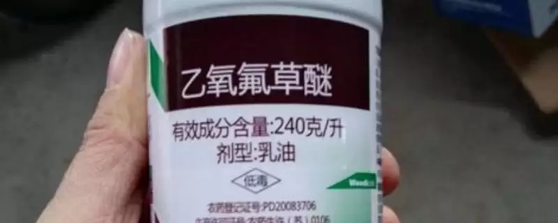 乙氧氟草醚可以除什么草(乙氧氟草醚能除哪些草)？-会东网