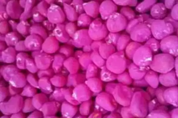 玉米拌种的作用(玉米拌种能起到什么作用)?插图2 玉米拌种的作用(玉米拌种能起到什么作用)?插图2