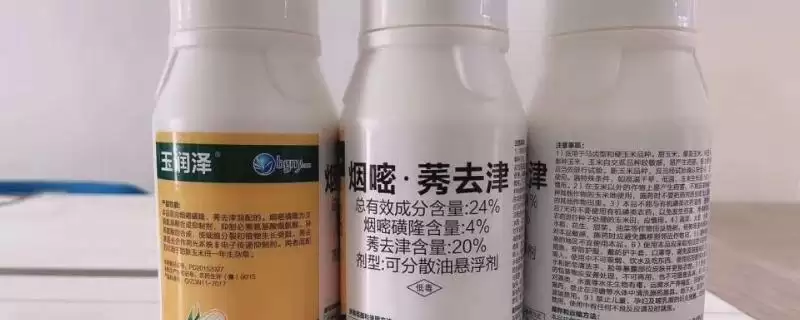 烟嘧莠去津除草见效时间及7天左右见效要点?-会东网