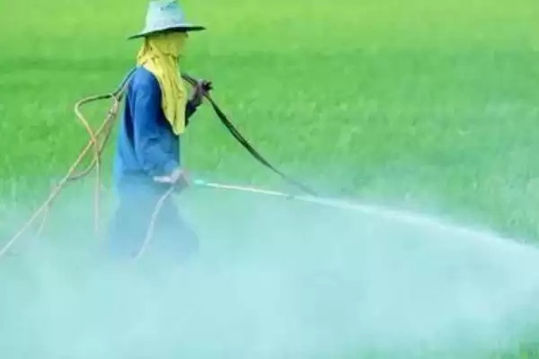有哪些药杀梢素(常见药杀梢素有哪些)？插图3