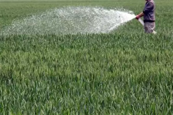 小麦后期喷微肥增产增重:锌肥等微肥要点?插图17 小麦后期喷微肥增产增重:锌肥等微肥要点?插图17