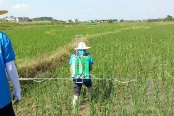 除草剂不同品种残留期不同(除草剂残留期与品种关系有哪些要点)？插图2