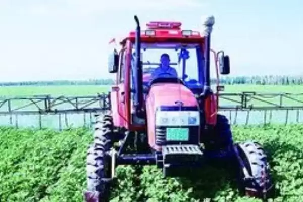 棉花立枯病防治方法介绍(稻棉轮作可防棉花立枯病)?插图2 棉花立枯病防治方法介绍(稻棉轮作可防棉花立枯病)?插图2