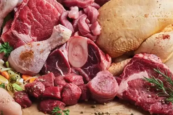 钓甲鱼方法及鱼竿要求相关说明(怎么钓甲鱼及对鱼竿要求说明)?插图5 钓甲鱼方法及鱼竿要求相关说明(怎么钓甲鱼及对鱼竿要求说明)?插图5