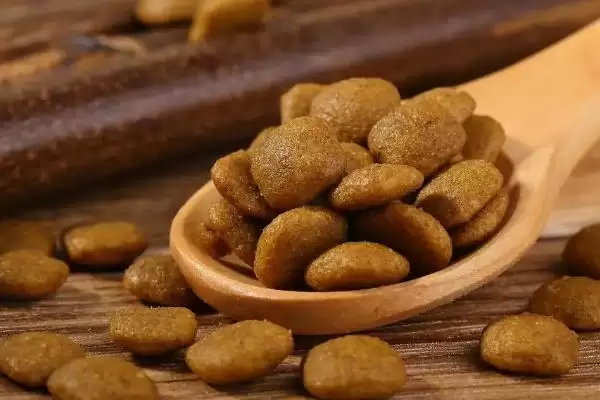 挑选好狗粮方法介绍(挑选好狗粮重要的是看配料表)?插图2 挑选好狗粮方法介绍(挑选好狗粮重要的是看配料表)?插图2