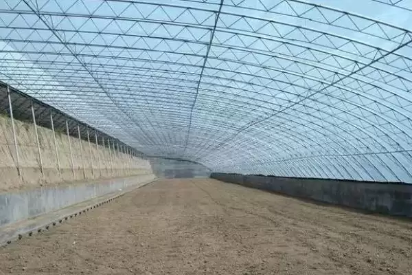 棚室内降低湿度方式介绍(棚室内降低湿度可选用无滴膜等)?插图11 棚室内降低湿度方式介绍(棚室内降低湿度可选用无滴膜等)?插图11