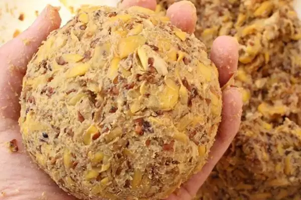 初冬钓鱼打窝选择及五种窝料介绍(初冬钓鱼用什么打窝好及窝料介绍)?插图5 初冬钓鱼打窝选择及五种窝料介绍(初冬钓鱼用什么打窝好及窝料介绍)?插图5