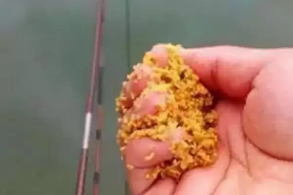 冬季南风是否适合野钓鲫鱼(冬季南风适合野钓鲫鱼吗，气温太低不太适合垂钓)？插图3