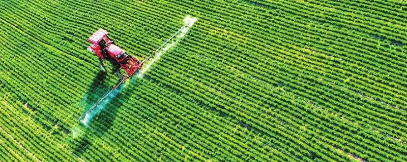 种植冬小麦除草时间及拔节初期用药(种植冬小麦何时除草及拔节初期用药)？-会东网