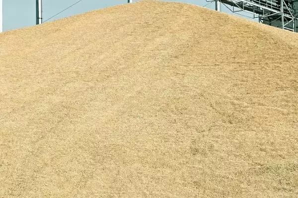 小麦种储存方法及把好五关具体内容(小麦种咋储存及把好哪五关)?插图3 小麦种储存方法及把好五关具体内容(小麦种咋储存及把好哪五关)?插图3