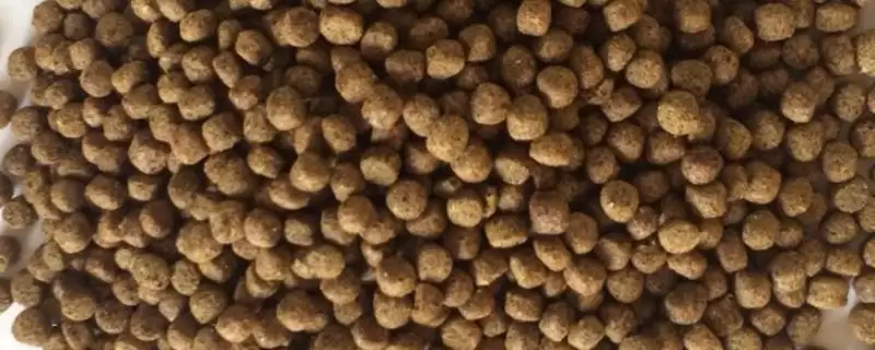 草鱼饲料利用合适原材料不同比例制作混合料(草鱼饲料配方制作有何要点)？-会东网