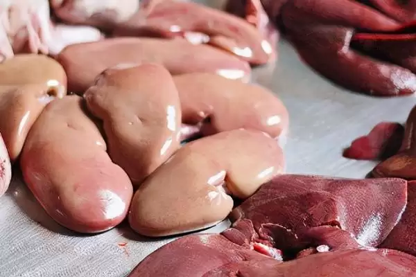 用什么钓甲鱼合适及常用饵料介绍(用什么钓甲鱼合适及常用饵料介绍)?插图1 用什么钓甲鱼合适及常用饵料介绍(用什么钓甲鱼合适及常用饵料介绍)?插图1