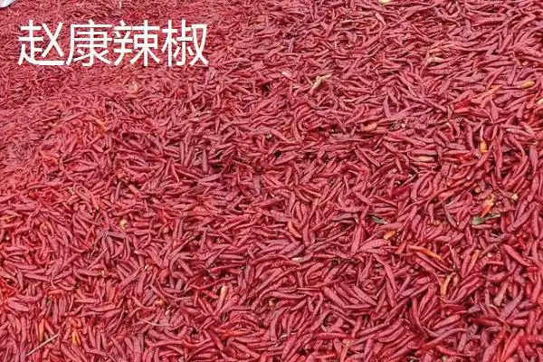 山西省襄汾县特产介绍(山西省襄汾县有地黄药材营销基地)？插图1