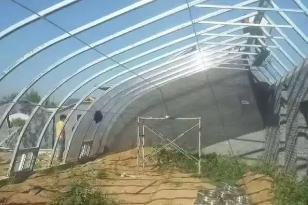 棚室内降低湿度方式介绍(棚室内降低湿度可选用无滴膜等)?插图2 棚室内降低湿度方式介绍(棚室内降低湿度可选用无滴膜等)?插图2