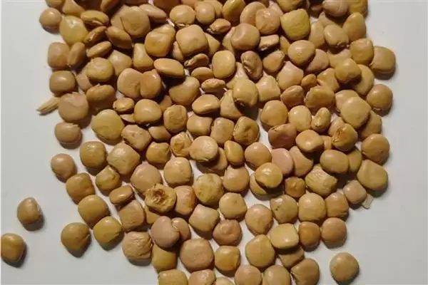 地瓜高产方法相关要点(地瓜高产方法，膨大期要追施复合肥、喷施叶面肥)？插图2