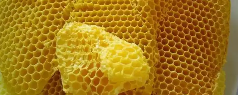 蜂产品之间的区别相关情况(蜂产品之间的区别,来源各不相同)?-会东网