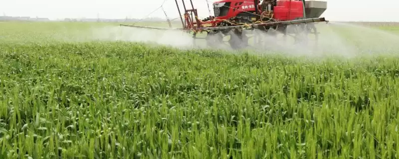 丰优9号小麦种子特征特性、用肥要点(丰优9号(区试名称:兴育201)小麦种子特征特性,每亩用尿素5~10公斤)?-会东网