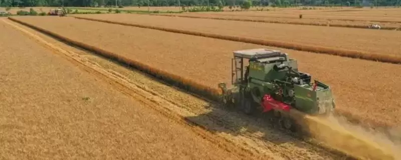 收割机单日作业量介绍(收割机一天能收亩数由地形及作物决定)?-会东网